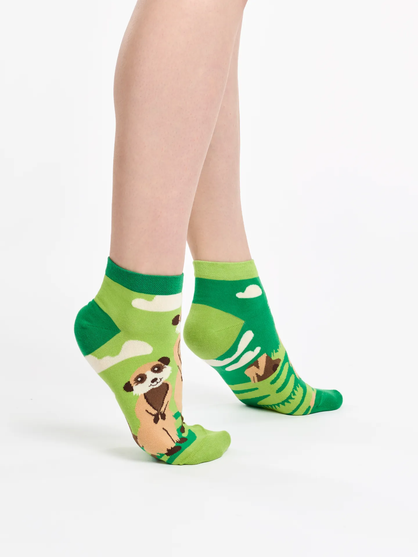 Imagen del producto 3